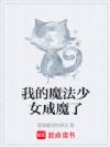 我的魔法少女变成魔修了