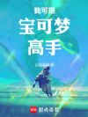我可是宝可梦高手!