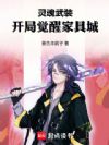 灵魂武装:开局觉醒家具城