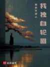 我独自轮回