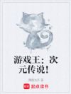 游戏王:次元传说!