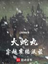 �����贩Խ��������