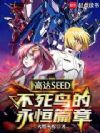 �ߴ�SEED�������������ƪ��