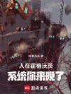 人在霍格沃茨,系统你来晚了!