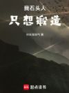 我石头人只想锻造