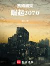 赛博朋克:崛起2070
