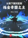 从地下室灰鼠,到炼金帝国之主!