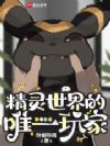 精灵世界的唯一玩家