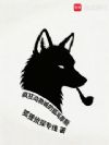 疯狂动物城的狐耳摩斯